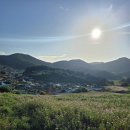 은하수펜션 | 전남 완도 청산도 여행펜션 후기｜오션뷰와 은하수가 있는 힐링 숙소