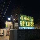 청계산입구역 청계숲양대창 청계산본점 : 서초 윈터골마을 청계산입구 양대창 찐 맛집