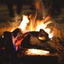 청일관광농원 이미지