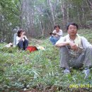 양곡골 Daum카페