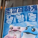 에버네이처 | 2026.06.24 아기랑 대구여행🐯 / 대구 네이쳐파크 2회차 방문후기