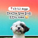 도고(doggo) 이미지