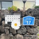 고갠드르법환 이미지