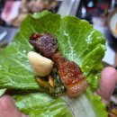 함덕흑돼지조약돌구이초원 이미지