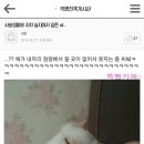 피식 이미지