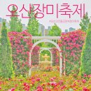 마루네일 - 안양시 동안구 흥안대로434번길 24 | 오산장미빛축제 다녀온 후기, 장미정원이 이렇게 예뻤다고? 마루네정원