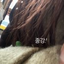 고덕유수지 야구장 화장실 | 2025년 연말 결산 ꒰১ ໒꒱