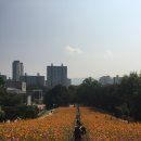 마루서플라이