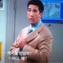 조이네집 이미지