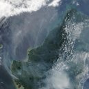 프라자 동물병원 이미지