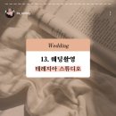 Wedding 13. 웨딩촬영 : 테레지아 스튜디오 A to Z 후기 (前 수에비뉴)
