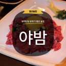 양푼갈비한우육회 | [일산] 밤리단길술집 야밤 정발산역맛집 한우육회 LA갈비 후기