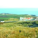 제주유유자적 이미지