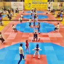 강한친구들태권스쿨 이미지