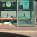 수원-0596 이미지