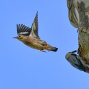 부리농장 이미지