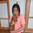 한빛 애견마을 이미지