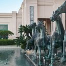 코in제주 이미지