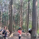 나무여행 이미지