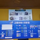 올레비치
