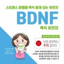 점핑올레
