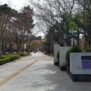 대구서화사