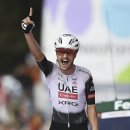 제이바인 이미지