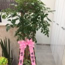 초목한의원 이미지