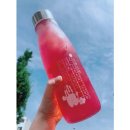 코리프렌즈 이미지