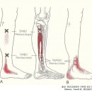 인천감초당한의원 이미지