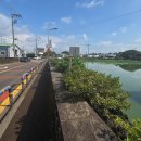 금악리 마을회관 이미지