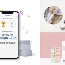 파도컨설팅 이미지