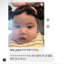 피자겟 이미지
