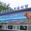 강원한우의집