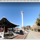 뉴프로부동산공인중개사사무소 | 급!매매!! 부산 송도해수욕장 바다조망 아파트부지 상업지1,072평 당2,500만원 심의 완료!