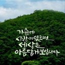 세차하는날 이미지