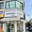모던플로라 이미지