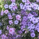 치악산농장 이미지