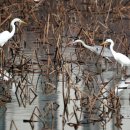 운천축산 이미지