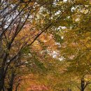 송정제방 이미지