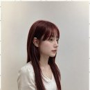쉼터미용실 네이버블로그