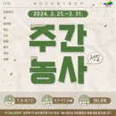 장일축산 | 🌳주간농사정보🌳2024. 3. 25. ~ 3. 31