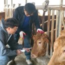 금이목장 이미지