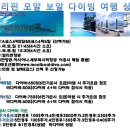 세부 모알보알 (4박5일&4박6일)다이빙 여행 상품 이미지