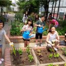 서평초등학교 이미지