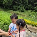 토북팜
