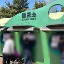 파란나무유치원 | 함평 나비축제 어린이날 아이랑 갈만한 곳 오늘 방문 후기(+개화상황, 주차 및 행사 일정표 등)