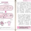 발효의 책 48 균을 다양한 방법으로 키운다. 이미지