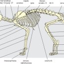 탑스동물병원 이미지
