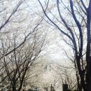 동양근린공원 네이버블로그